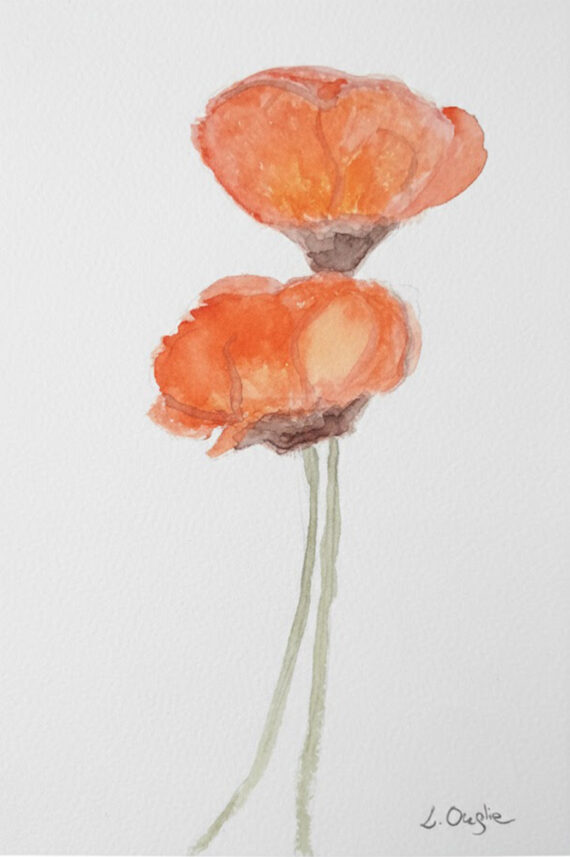 Golden Hour Poppies